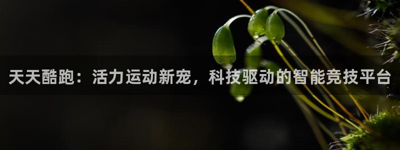 多彩娱乐平台登录入口：天天酷跑：活力运动新宠，科技驱动的智能