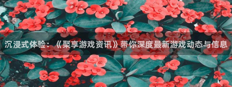 多彩娱乐app：沉浸式体验：《棸享游戏资讯》带你深度最新游戏