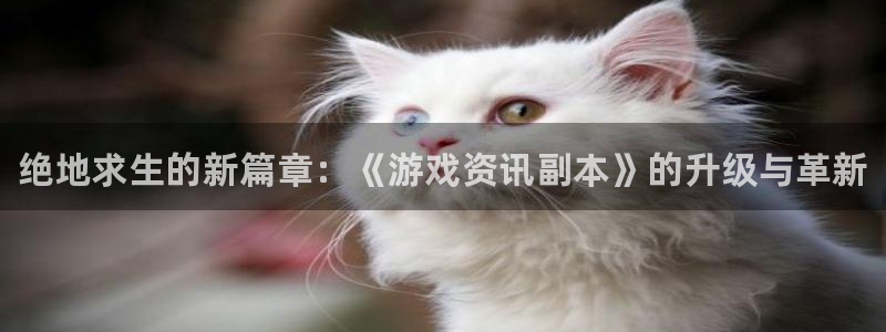 多彩娱乐网页版地址：绝地求生的新篇章：《游戏资讯副本》的升级