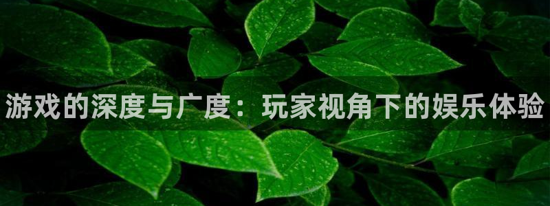 多彩娱乐平台注册资金多少：游戏的深度与广度：玩家视角下的娱乐