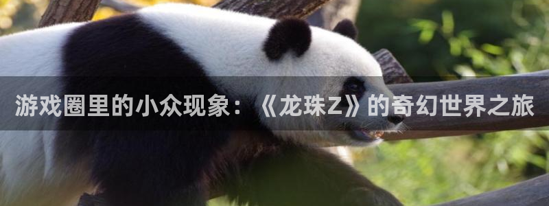 多彩娱乐平台登陆：游戏圈里的小众现象：《龙珠Z》的奇幻世界之