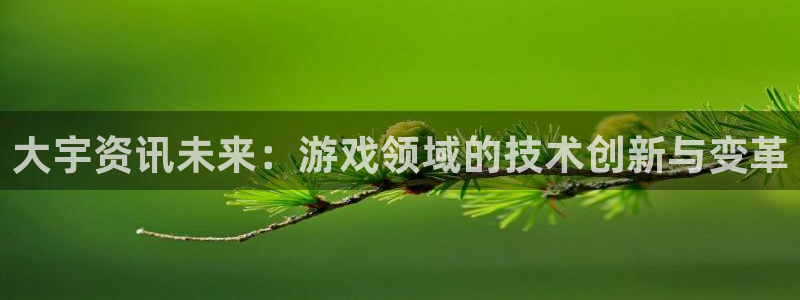 多彩娱乐平台官网客服电话：大宇资讯未来：游戏领域的技术创新与