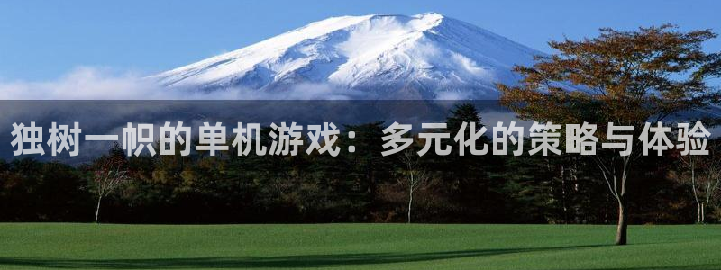 多彩娱乐主管：独树一帜的单机游戏：多元化的策略与体验