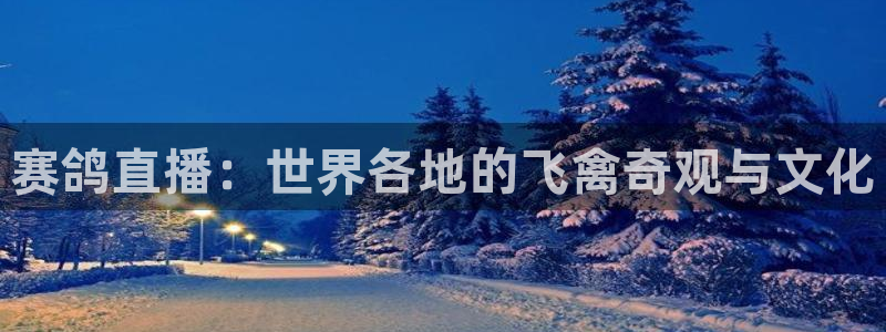 说球帝app下载：赛鸽直播：世界各地的飞禽奇观与文化