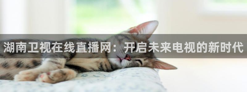 说球帝直播在线观看免费：湖南卫视在线直播网：开启未来电视的新时代